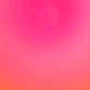 Meet your Posher, Lily